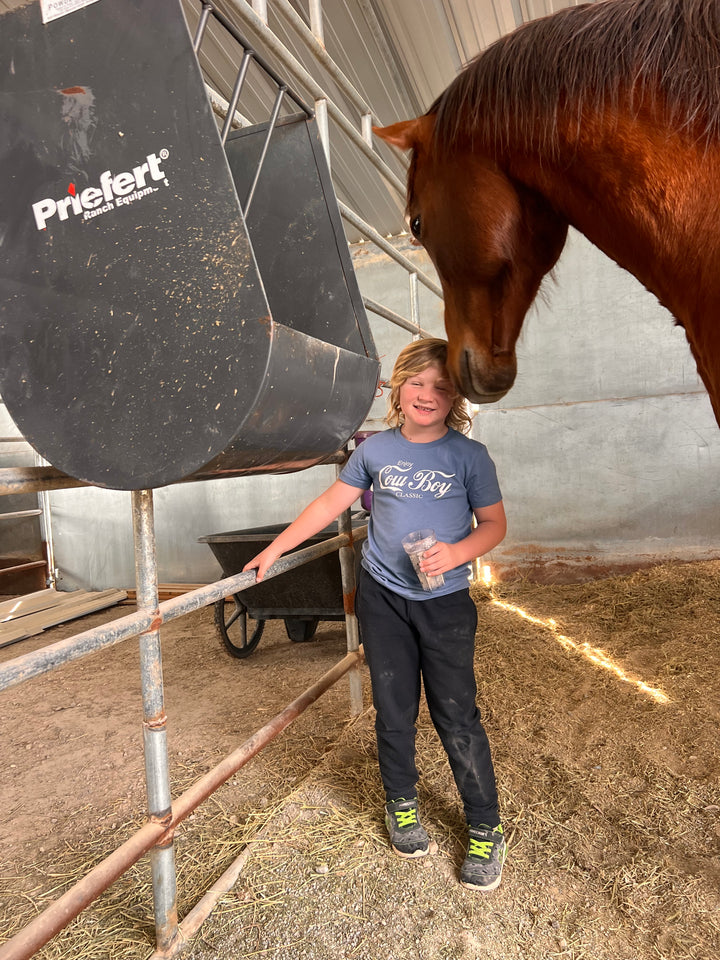A person standing next to a horse inside a stable, wearing a gray graphic tee with the text &