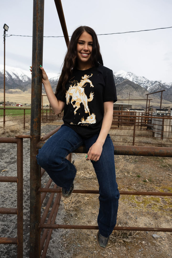 Person wearing a black t-shirt with a dragon design, sitting on a rusted metal fence with mountains in the background.