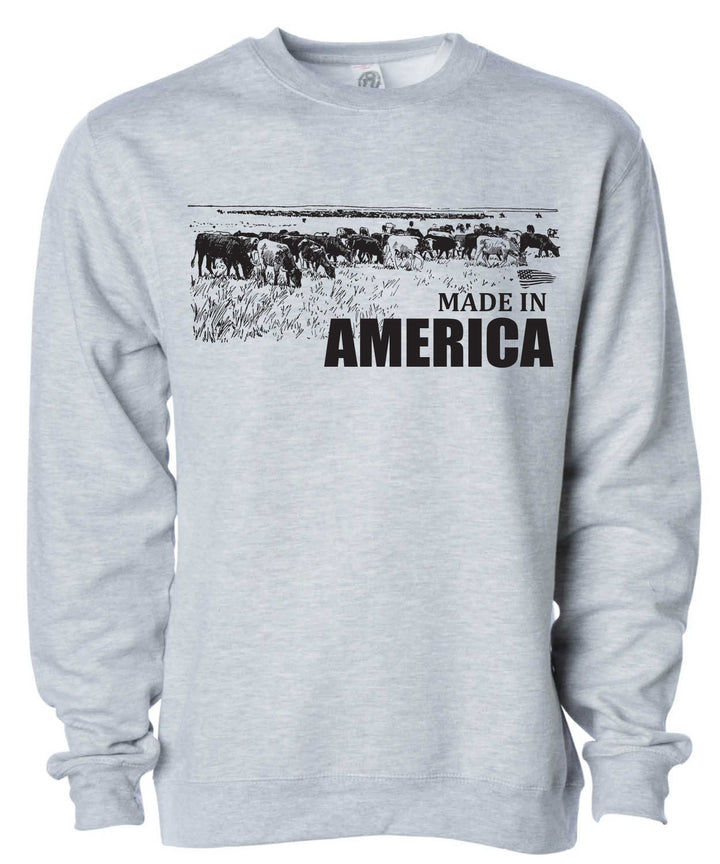 A gray sweatshirt with &