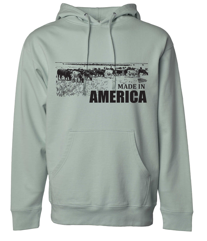 A gray sweatshirt with &